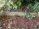 image of grave number 85183